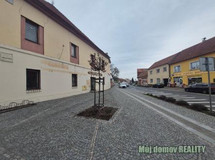 Pronájem domu/vily, 1 200 m²