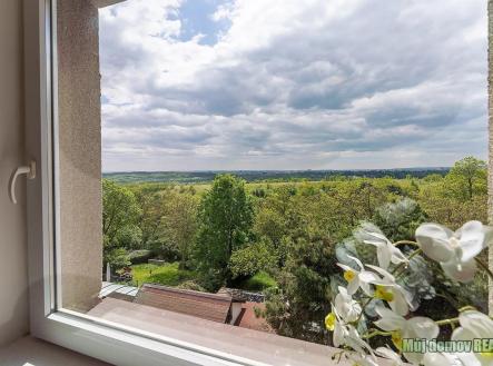 Pronájem bytu, 1+kk, 18 m²