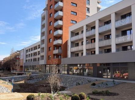 Pronájem bytu, 2+kk, 53 m²
