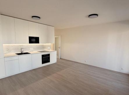 Pronájem bytu, 2+kk, 53 m²