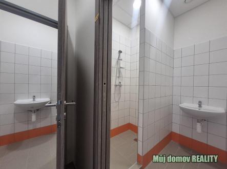 nab_485994705.jpg