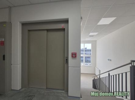 nab_485994729.jpg
