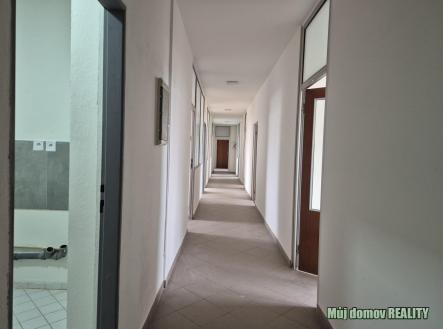 nab_488159703.jpg