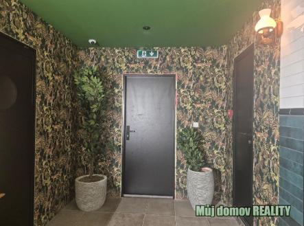 nab_487281765.jpg