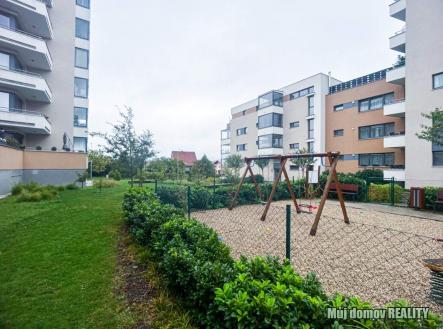 nab_489012421.jpg