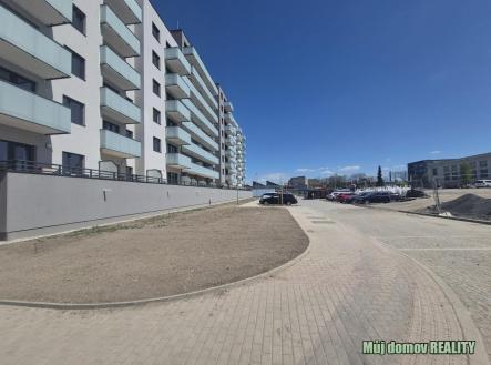 nab_489802677.jpg