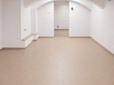 Pronájem výrobní prostory, 220 m²