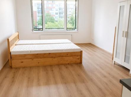 Pronájem bytu, 1+kk, 45 m²