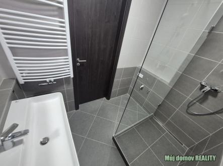 nab_479378503.jpg