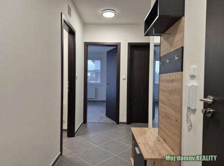 nab_479378481.jpg