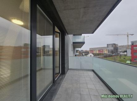 nab_479378491.jpg