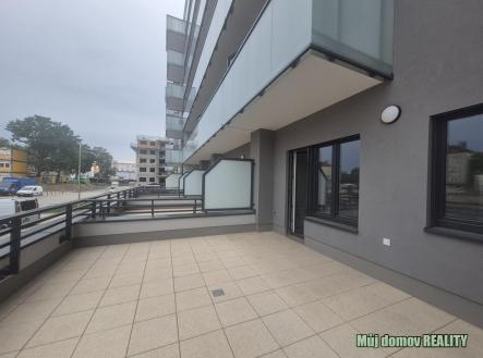 nab_493200509.jpg