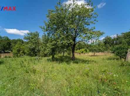 Prodej - pozemek pro bydlení, 707 m²