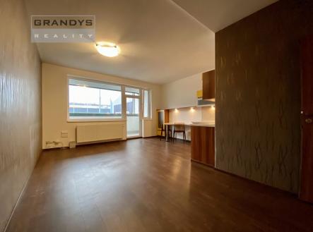 Pronájem bytu, 1+kk, 43 m²