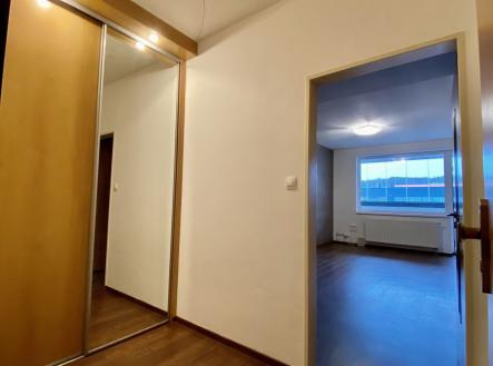 Pronájem bytu, 1+kk, 43 m²