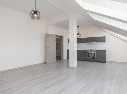 Pronájem bytu, 1+kk, 49 m²