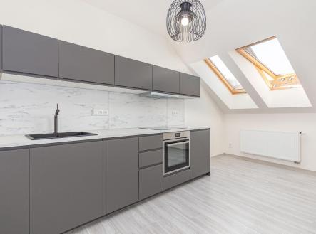 Pronájem bytu, 1+kk, 49 m²