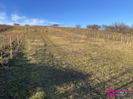 Prodej pozemku, ostatní, 2 567 m²