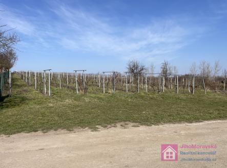 Prodej pozemku, ostatní, 9 203 m²