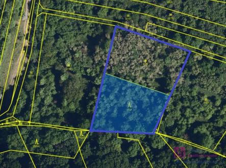 Prodej pozemku, les, 4 858 m²