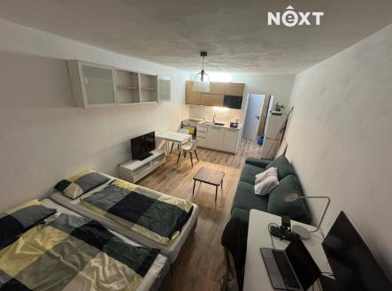 Pronájem bytu, 1+kk, 29 m²