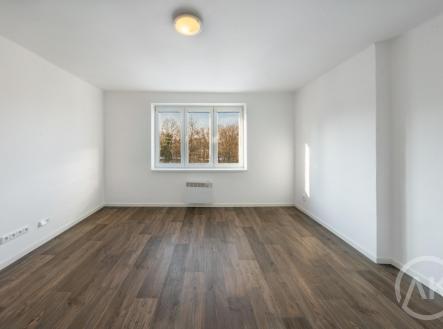 Pronájem bytu, 2+1, 59 m²