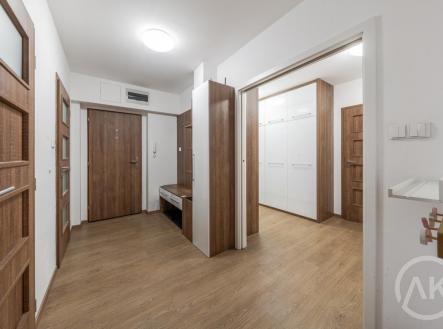Pronájem bytu, 3+kk, 87,5 m²