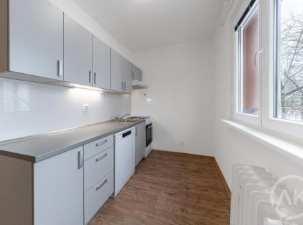 Pronájem bytu, 1+1, 42 m²