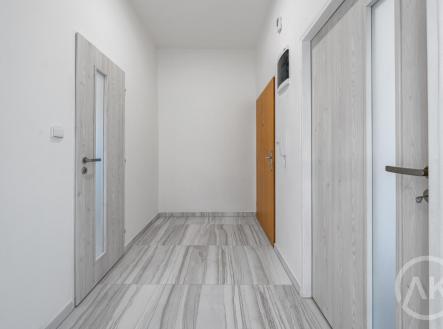 Pronájem bytu, 1+1, 45 m²