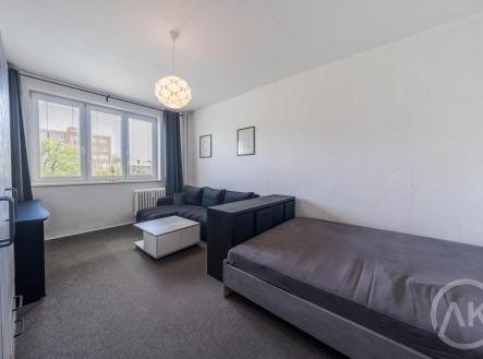 Pronájem bytu, 1+1, 37 m²