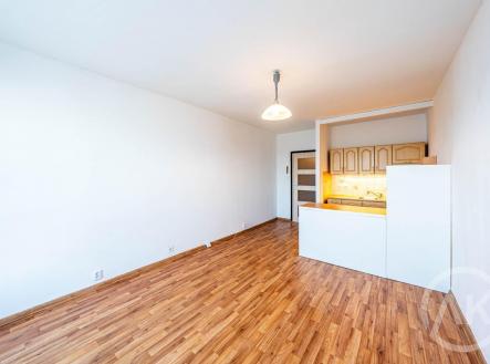 Pronájem bytu, garsoniéra, 28 m²