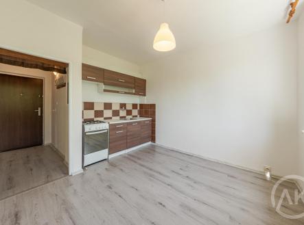 Pronájem bytu, 1+1, 37 m²