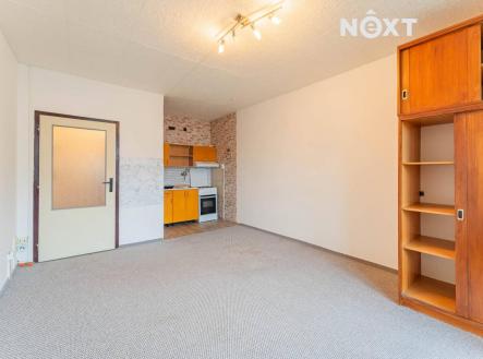 Pronájem bytu, 1+kk, 30 m²