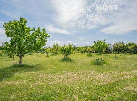 Prodej pozemku pro bydlení, 1 300 m²