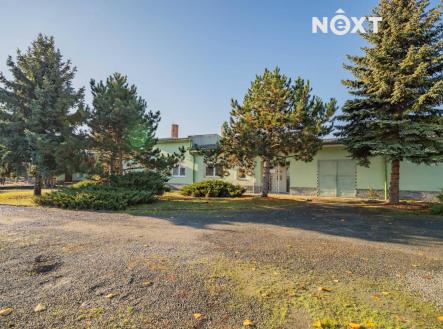 Pronájem kanceláře, 100 m²