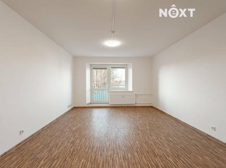 Pronájem bytu, 1+1, 45 m²