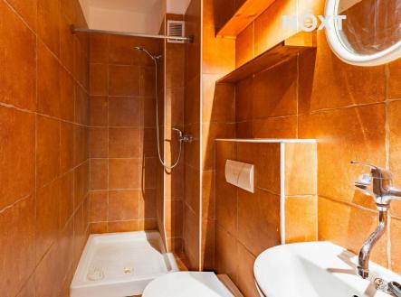 Pronájem bytu, 1+kk, 20 m²