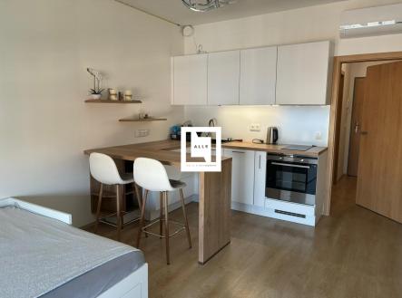 Pronájem bytu, 1+kk, 33 m²