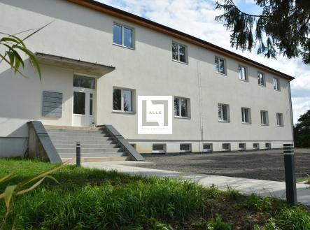 Pronájem bytu, 2+kk, 41 m²