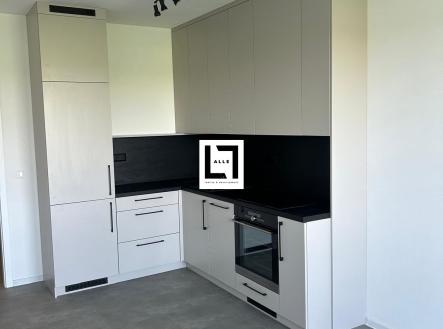 Pronájem bytu, 2+kk, 50 m² obrázek