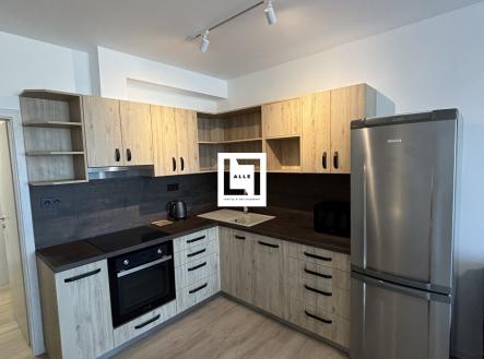 Pronájem bytu, 1+kk, 38 m²