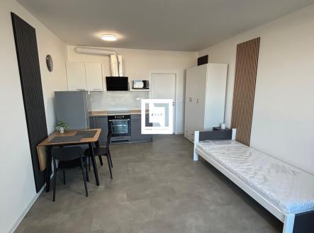 Pronájem bytu, 1+kk, 31 m²