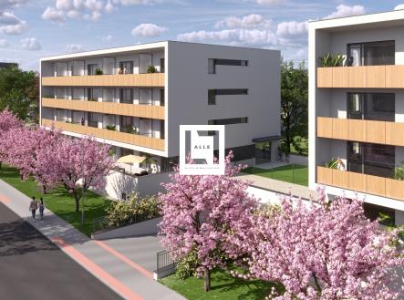 Prodej bytu, 2+kk, 55 m²