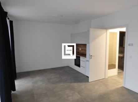 Pronájem bytu, 1+kk, 39 m²