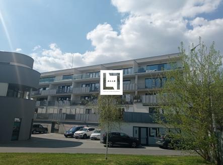 Pronájem bytu, 1+kk, 35 m²