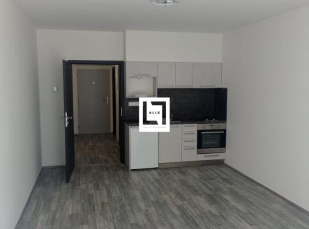 Pronájem bytu, 1+kk, 35 m²