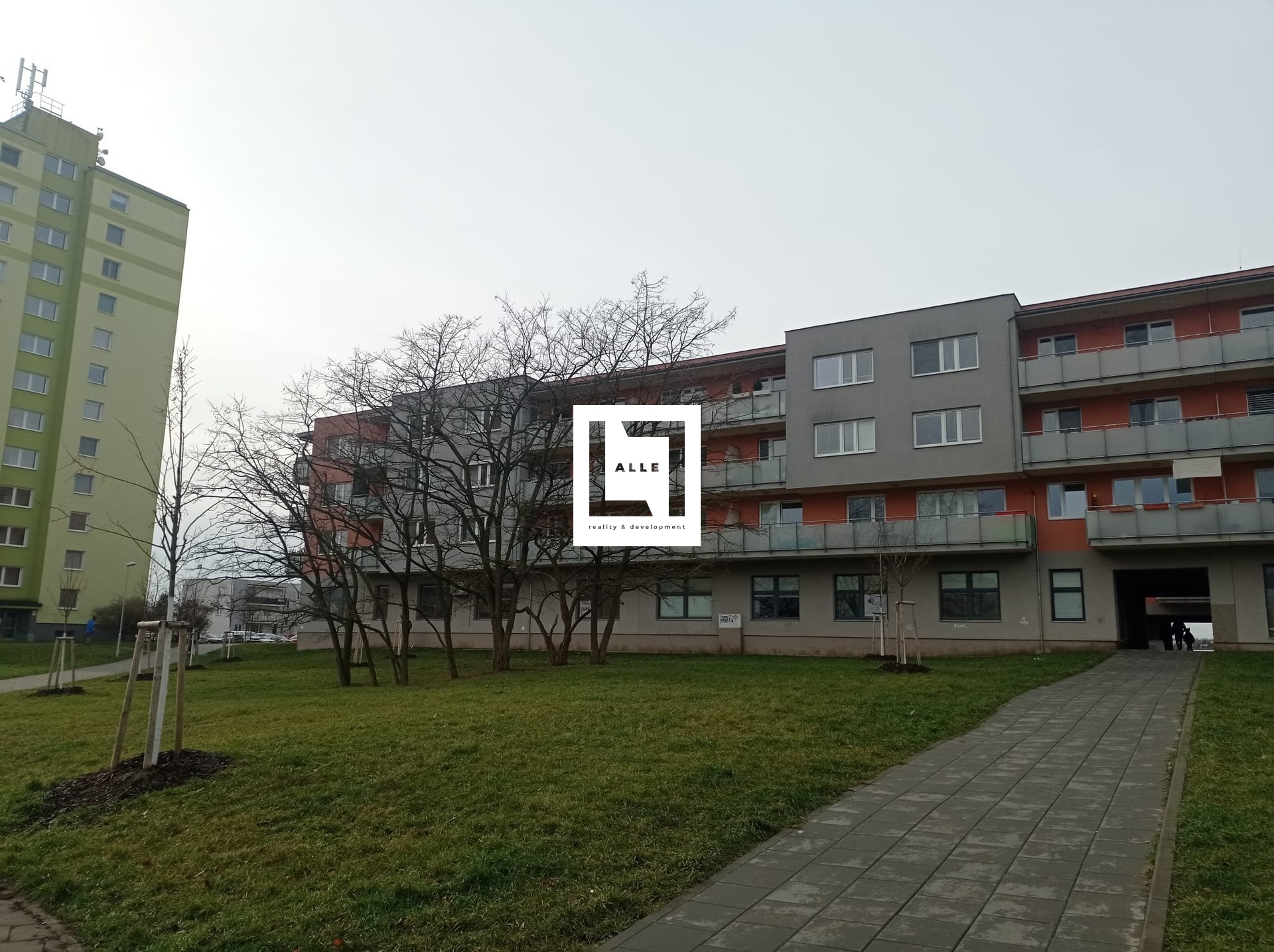 WhatsApp Image 2024-01-10 at 13.31.23 (3)