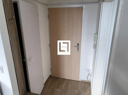 Pronájem bytu, 1+1, 31 m²