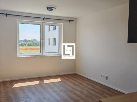 Pronájem bytu, 1+kk, 28 m²