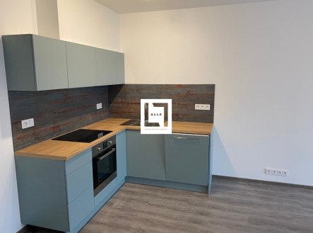 Pronájem bytu 3+kk v novostavbě na ul. Loudova, Olomouc